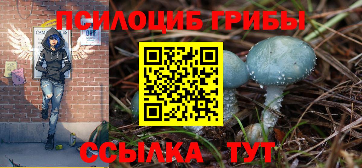 Псилоцибиновые грибы Cubensis  купить наркотики сайты  Красногорск  Вход с VPN 