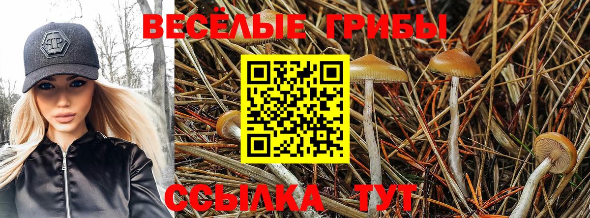Псилоцибиновые грибы прущие грибы Красногорск